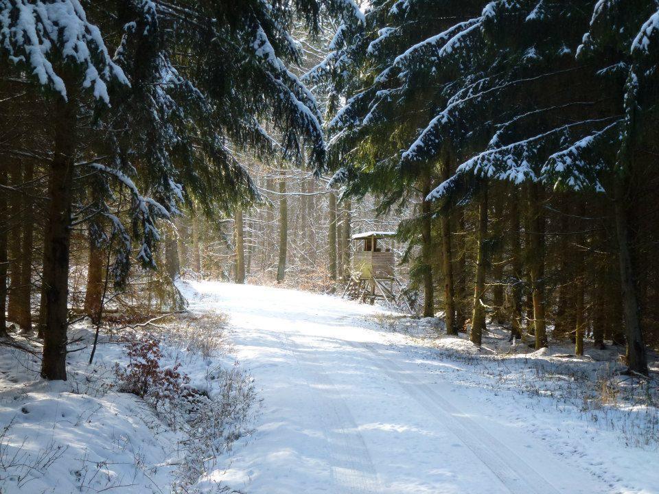 Zur Dorfschanke Hausen  Exterior foto